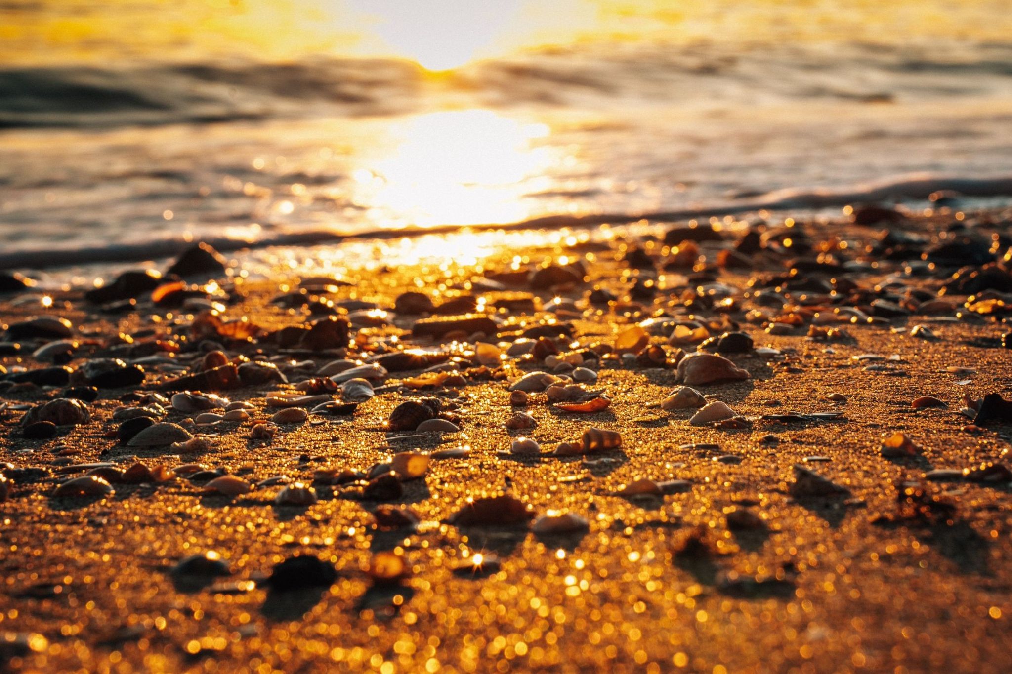 Luxury Home Fragrance
